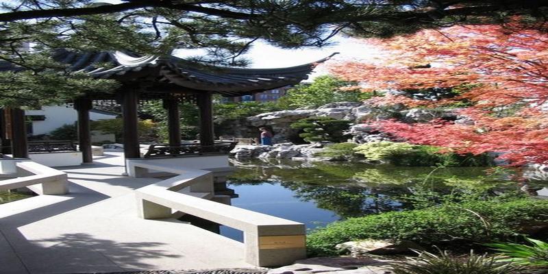 在院子里栽仙人掌影响风水吗(庭院设计风水要点)