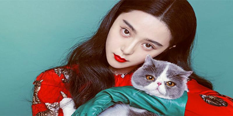 周易起名网免费取名七星堂(2017年异性缘暴涨的三大生肖)