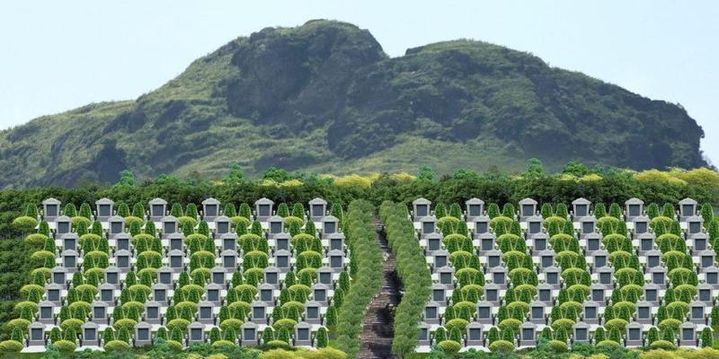 墓地风水学入门知识(墓地风水有猫腻)