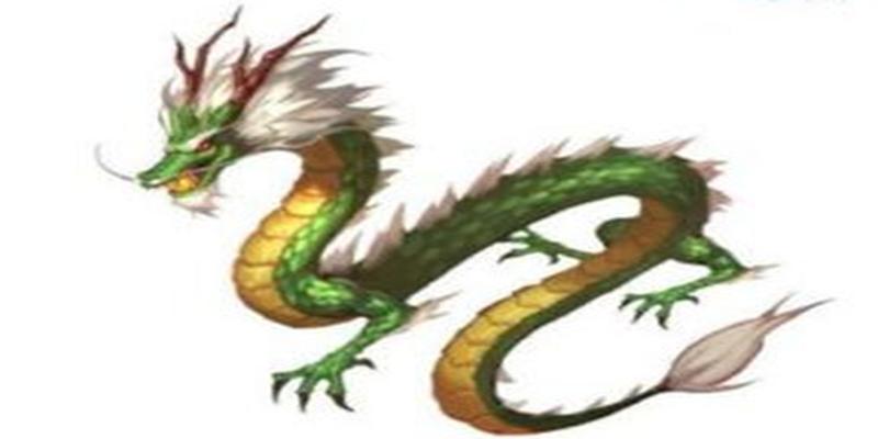 青龙白虎寓意(青龙白虎朱雀玄武寓意)