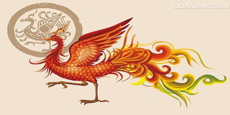 青龙白虎寓意(青龙白虎朱雀玄武寓意)