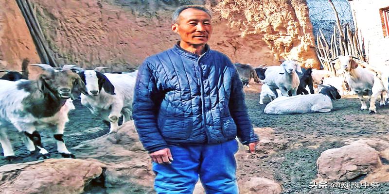 养羊风水禁忌(他靠10只羊“滚雪球”)