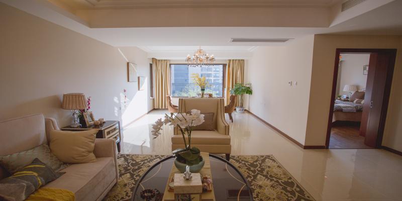 绿植盆栽的寓意(绿植用什么水浇好)