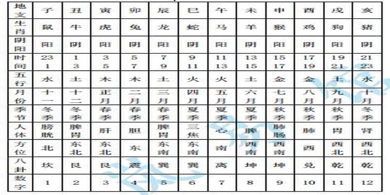 天干地支相冲(地支日时相冲代表什么)
