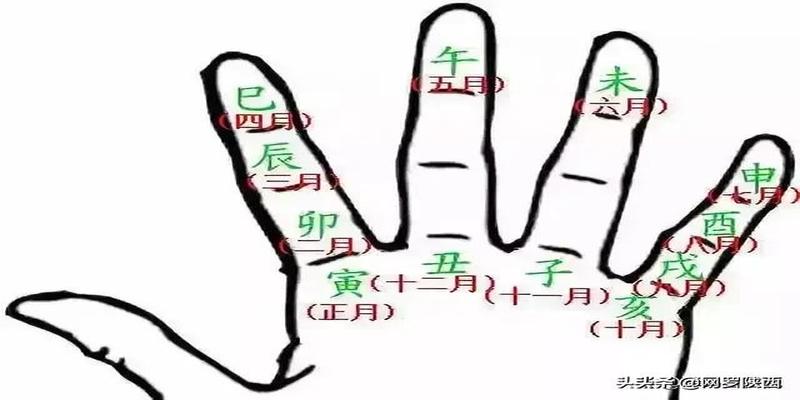 副星在八字里的作用(八字入门的十六个基础)