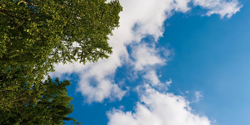 周易起名大全取名(易经取名全集)