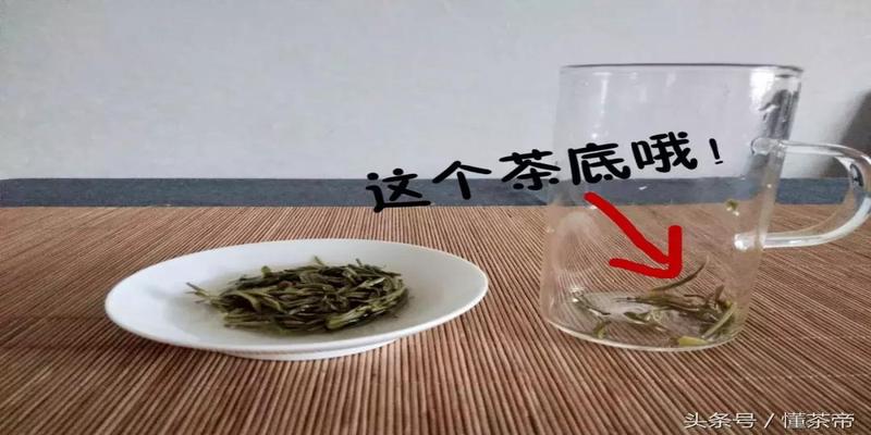 茶杯代表着什么意义(一杯可以占卜的茶)