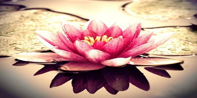 厚德载物风水属于什么(品行即是最好的风水)