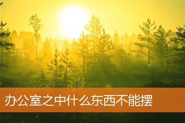 办公室之中什么东西不能摆(办公室不能摆放什么)