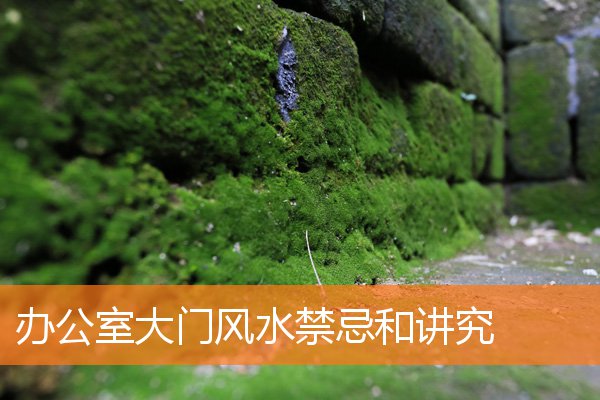 办公室大门风水禁忌和讲究(风水大门的禁忌有哪些)