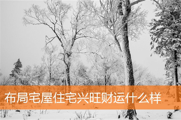 布局宅屋住宅兴旺财运什么样(家宅吉凶命运偕)