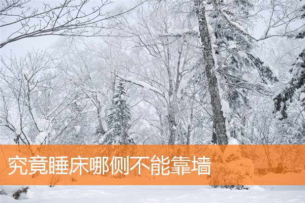 床如何摆放才旺运(卧室旺财家居风水摆件)