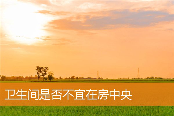 卫生间是否不宜在房中央(室内卫生间门风水禁忌)