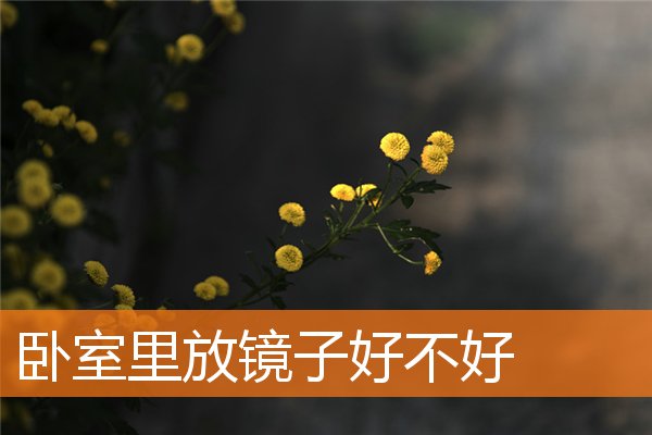 卧室里放镜子好不好(卧室小风水好不好)