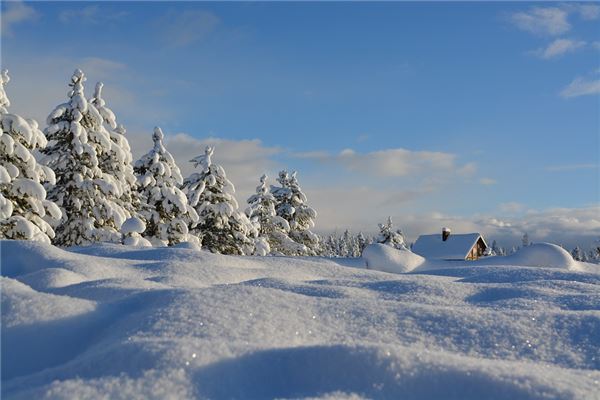 二十四节气之大雪(二十四节气大雪时间)