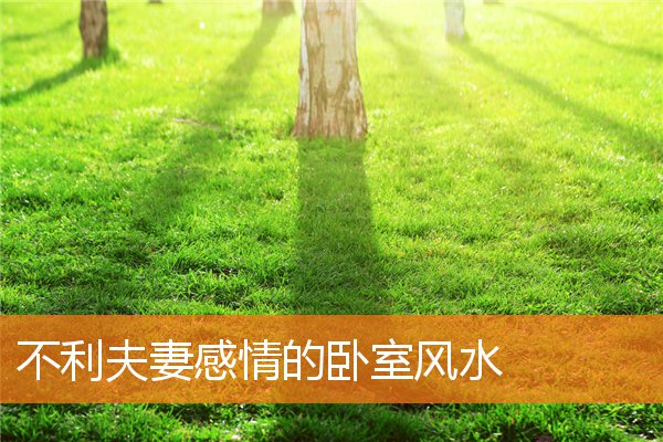 床底摆什么东西旺财(床底下放什么旺财对身体好)