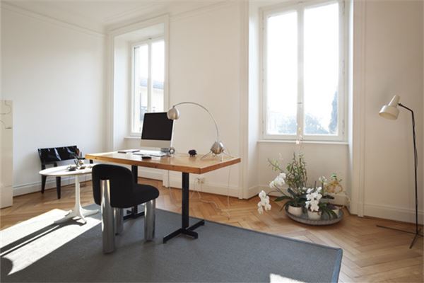 办公室摆放什么植物风水好(室内摆放风水图解)