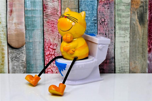 马桶坐北朝南什么意思(马桶坐南朝北风水)