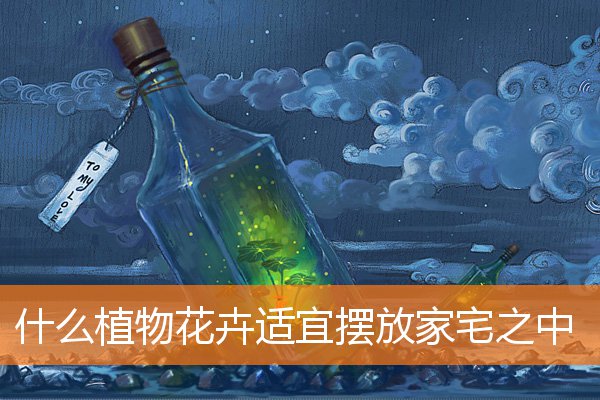 什么植物花卉适宜摆放家宅之中(居家风水摆放)