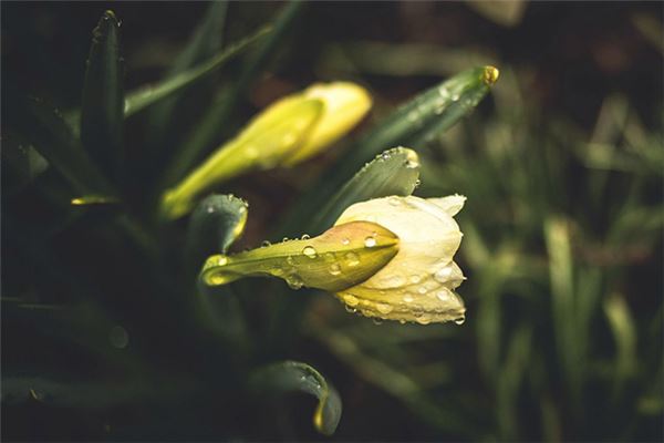 玄空风水罗盘讲解(玄空罗盘使用方法图解)