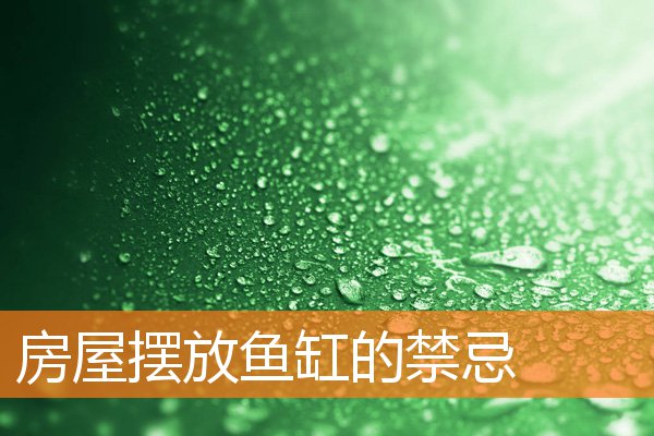 房屋摆放鱼缸的禁忌(鱼缸客厅摆放风水位置示意图)