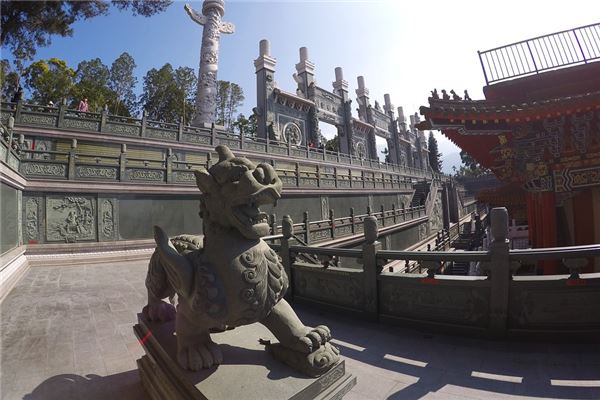 家中风水摆什么招财最好(风水财运怎么能招财)