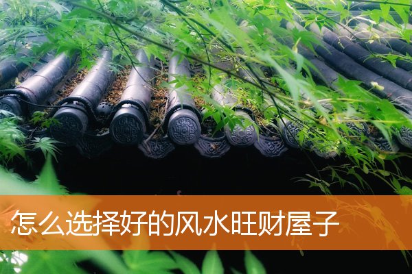 怎么看风水屋子布局(宅子风水怎么看)