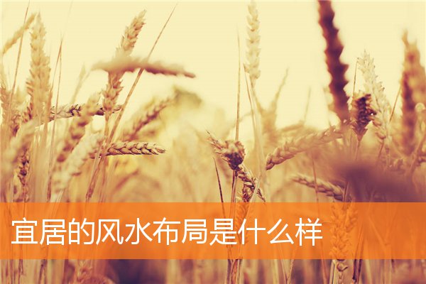 宜居的风水布局是什么样(家宅风水学入门)