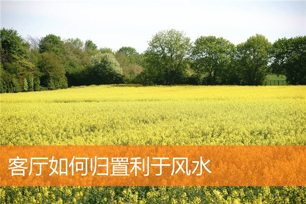 客厅如何归置利于风水(客厅东西走向风水)