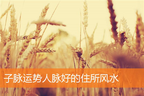 宅子兴旺能子孙运势好怎么布局(风水看家庭兴旺的征兆)