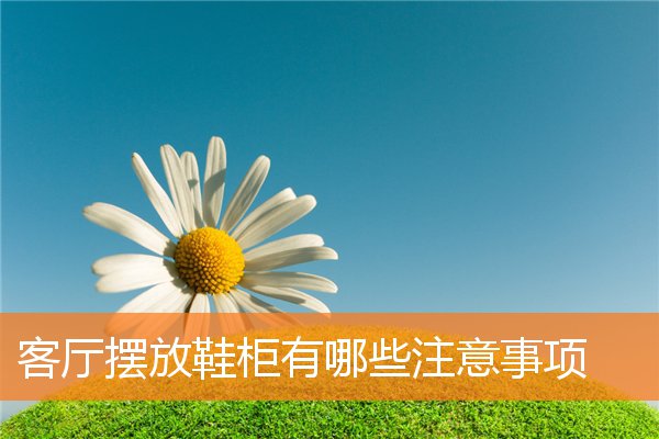 客厅整体格局怎样最好(客厅的布局)