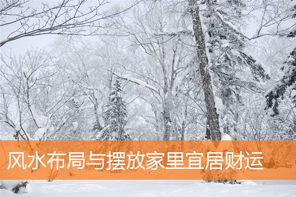 家宅财运好的风水局是什么样(易经风水怎么看家宅财位)