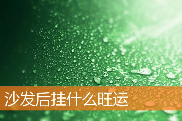 沙发后挂什么旺运(沙发怎样摆放旺财)