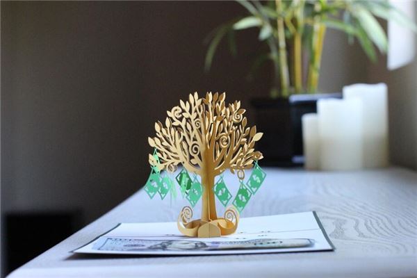 一进门见金钱树好吗(金钱树风水摆放三不要幸福树)