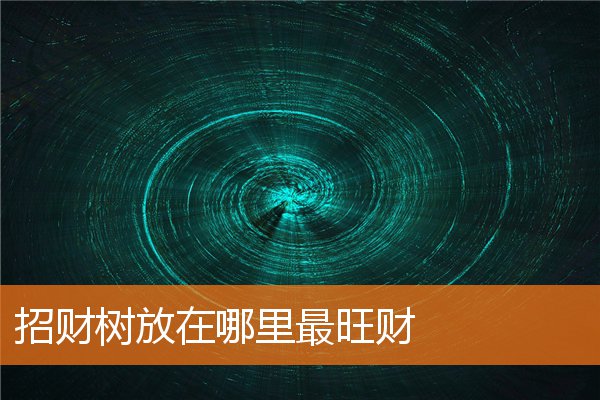 招财树放在哪里最旺财(家宅招财方法)