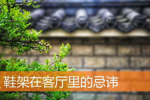 鞋架在客厅里的忌讳(屋里放鞋架有什么讲究)