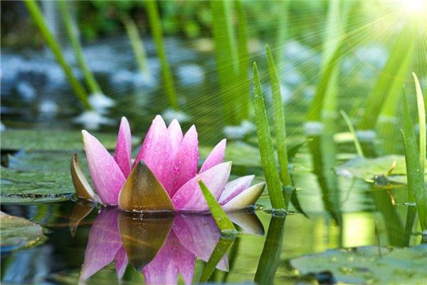 玄空九星风水学(玄空风水三元九运详解)