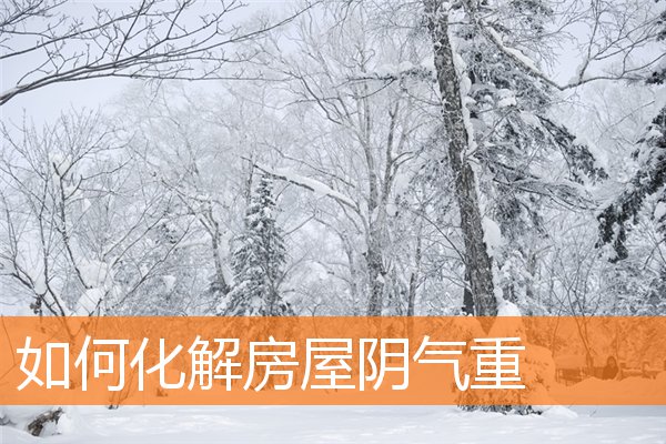 如何化解房屋阴气重(风水阴阳化气)