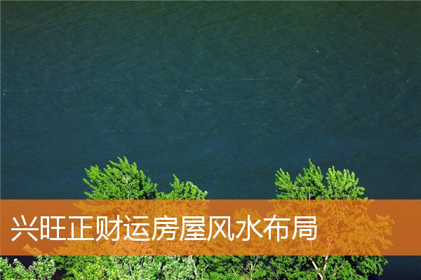 兴旺正财运房屋风水布局(财位放什么最旺财)