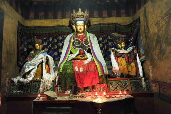 佛像摆放风水禁忌(发财树摆放禁忌发财树不能放哪里)