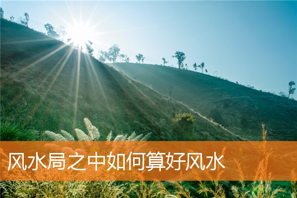 好布局风水是什么样的(房宅风水布局)