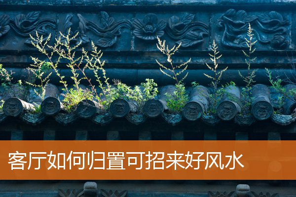 客厅如何归置可招来好风水(客厅一通到底风水如何处理)