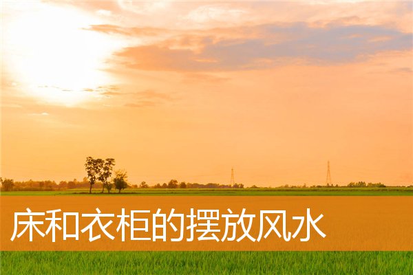 床和衣柜的摆放风水(房间衣柜摆放)