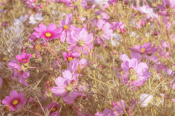 2020年1月适宜开张的好日子(2020年开工好日子)