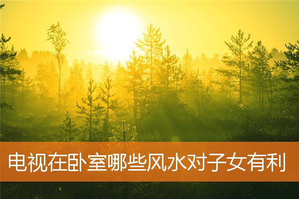 电视在卧室哪些风水对子女有利(女儿住哪个卧室风水好)