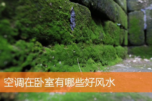 电视在卧室哪些风水对子女有利(女儿住哪个卧室风水好)