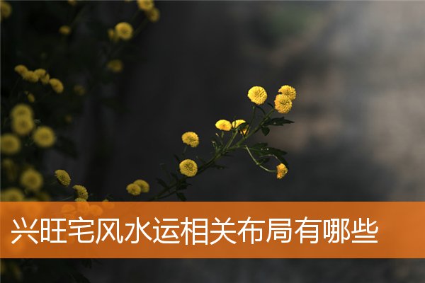 兴旺宅风水运相关布局有哪些(十大吉宅风水)