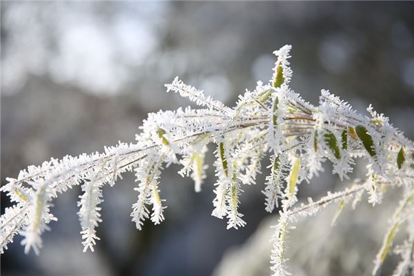 二十四节气之小寒(二十四节气小寒之后是什么)