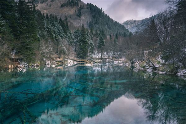什么是玄空九星(玄空九星五行属性)