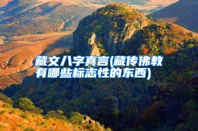 藏文八字真言(藏传佛教有哪些标志性的东西)